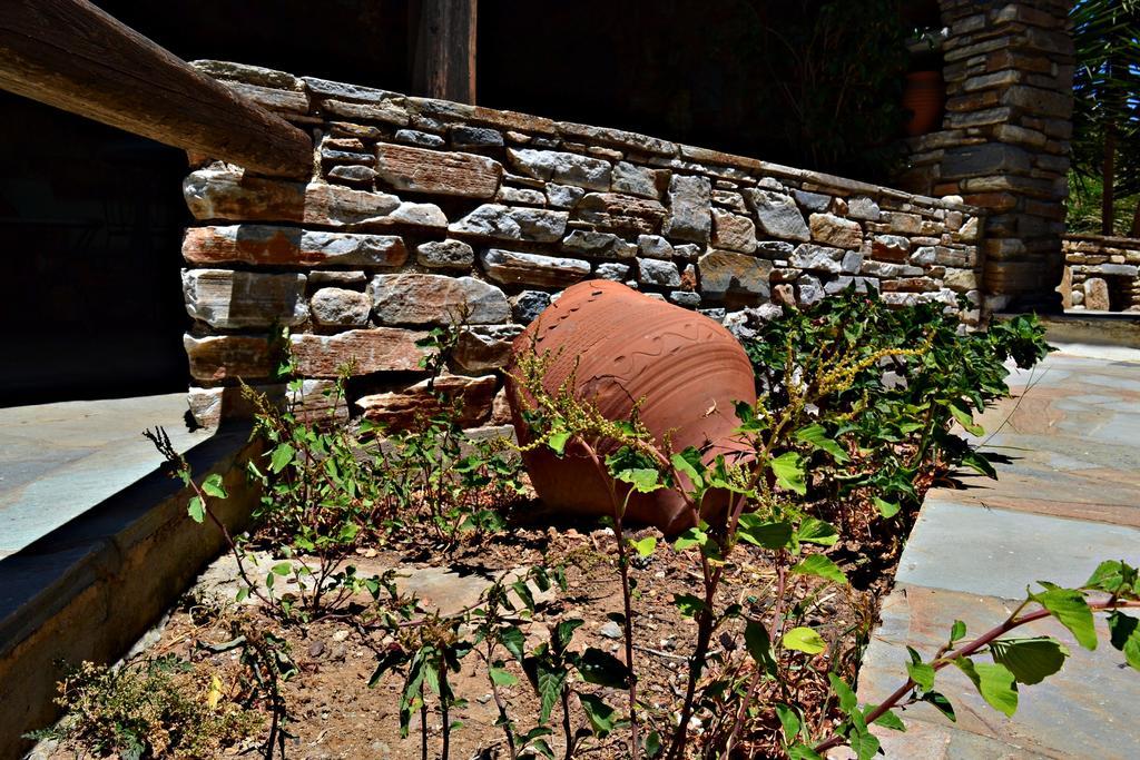 Stelios Zalonis Apartments Tinos Exterior foto